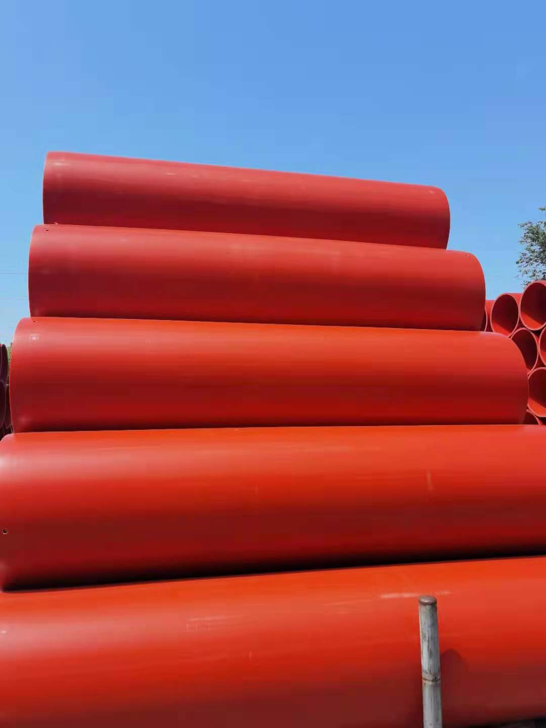 2024新年、新征程