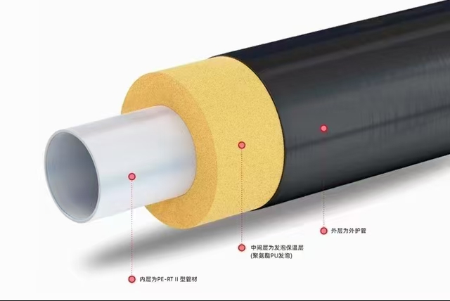 來公司的第二天